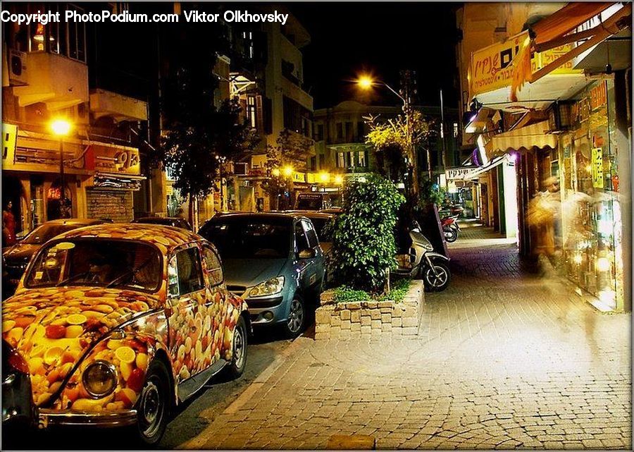 Plant, Potted Plant, Automobile, Car, Vehicle, Motor, Motorcycle