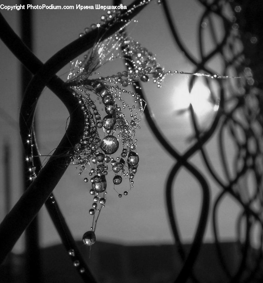 Lighting