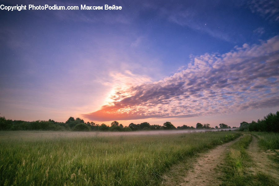 Dirt Road, Gravel, Road, Field, Grass, Grassland, Land