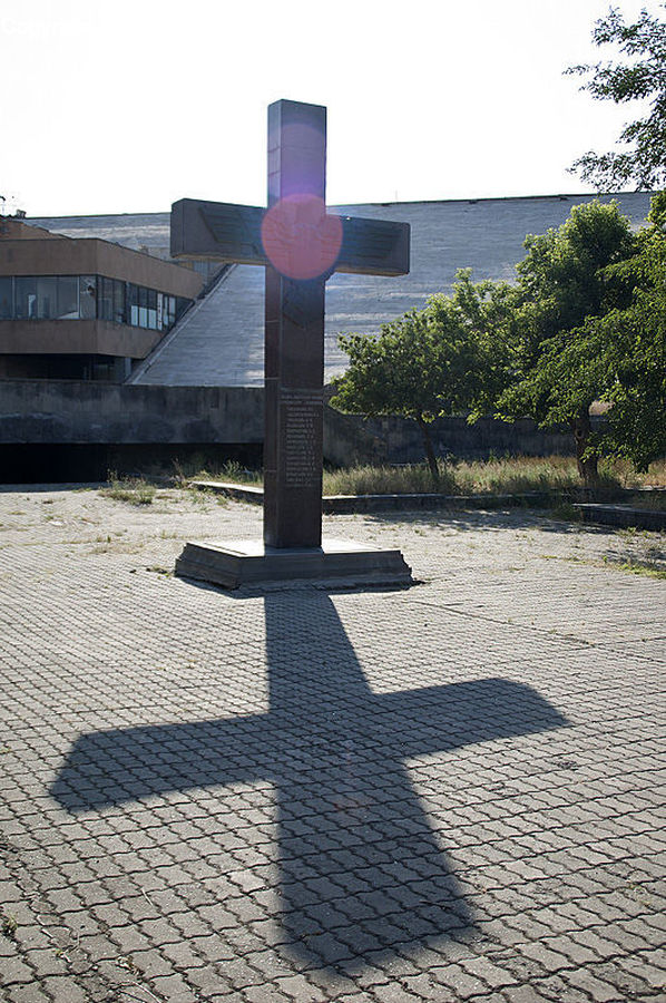 Lamp Post, Pole, Basketball Court, Fence, Hedge, Plant, Forest