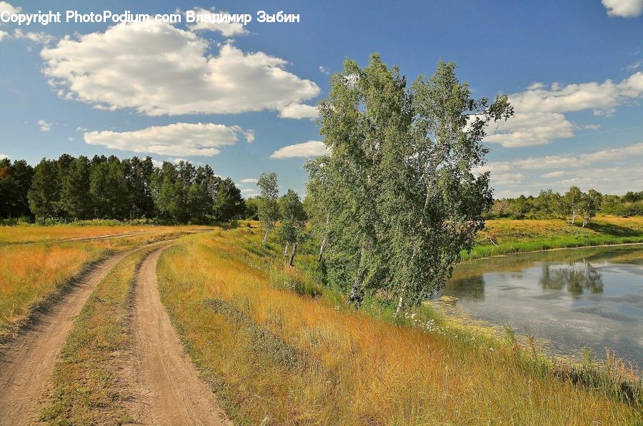Dirt Road, Gravel, Road, Nature, Outdoors, Landscape, Scenery