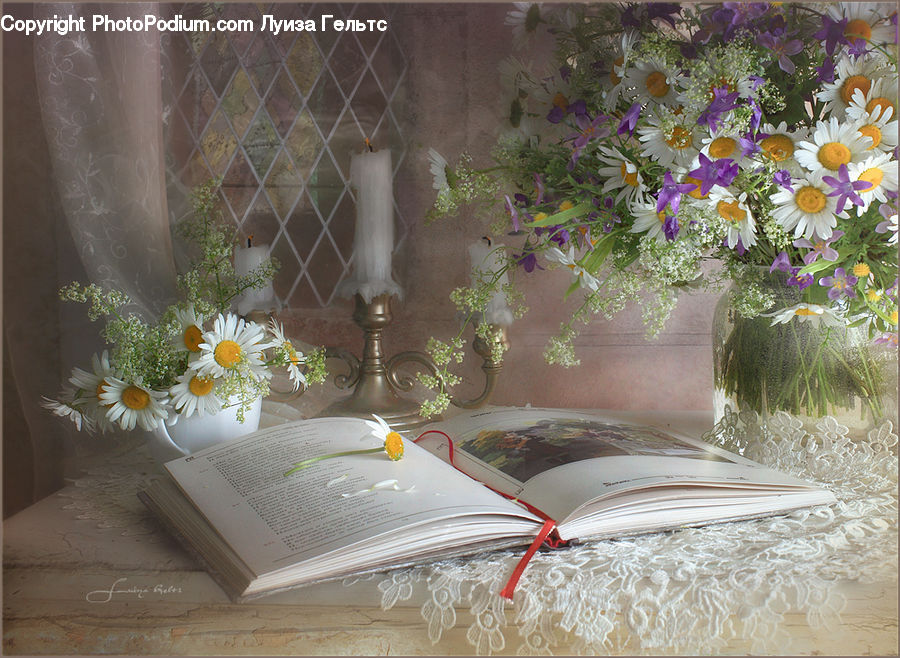 Plant, Potted Plant, Flower, Flower Arrangement, Flower Bouquet, Floral Design, Ikebana