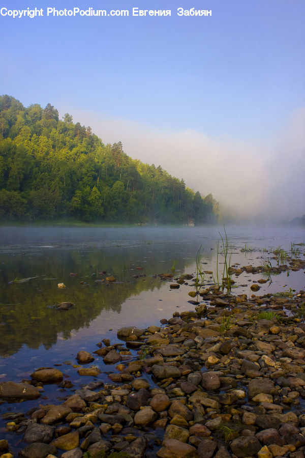 Outdoors, River, Water, Land, Marsh, Pond, Swamp