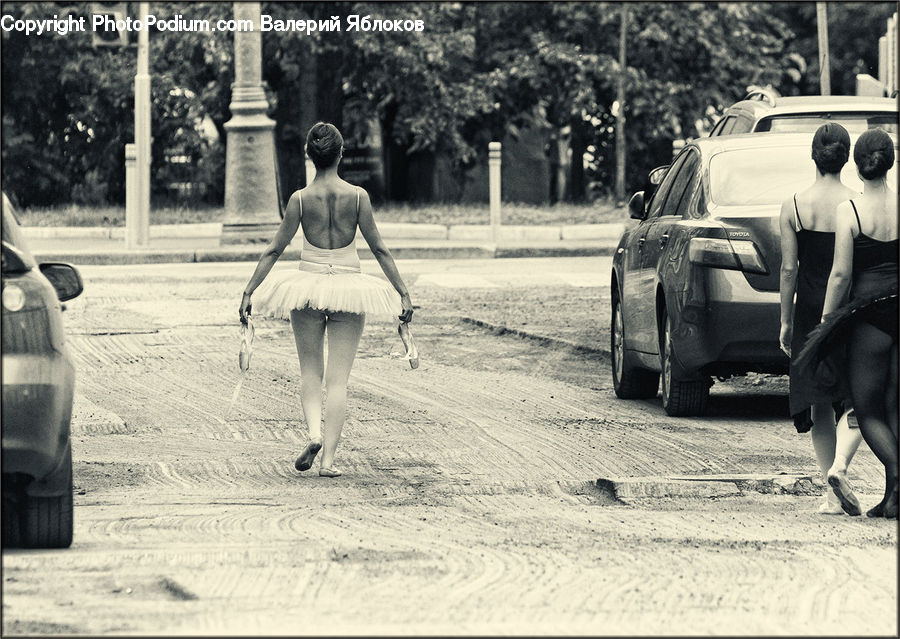 Back, Automobile, Car, Vehicle, Make Out, Outdoors, Sand