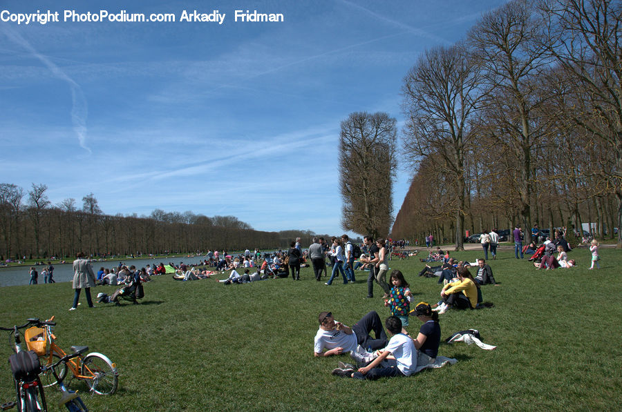Bicycle, Bike, Vehicle, Field, Grass, Lawn, Crowd