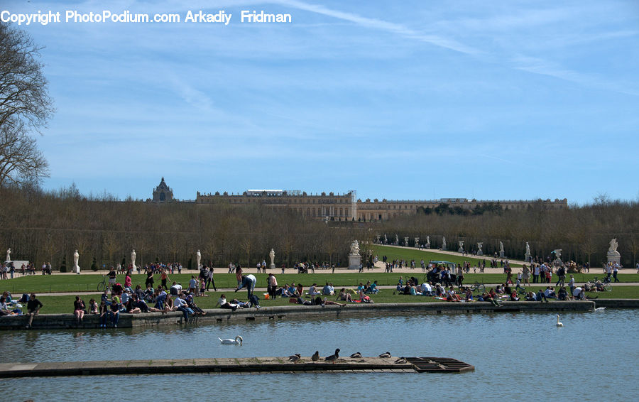 Park, Landscape, Nature, Scenery, Crowd, Canal, Outdoors