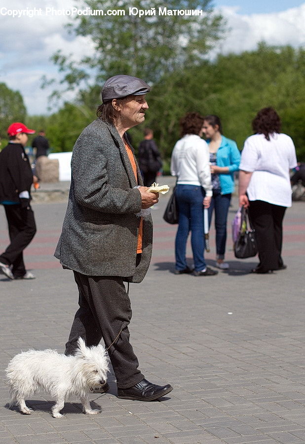 Human, People, Person, Leisure Activities, Walking, Animal, Canine