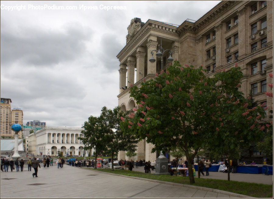 Plant, Tree, Architecture, Downtown, Plaza, Town Square, Potted Plant