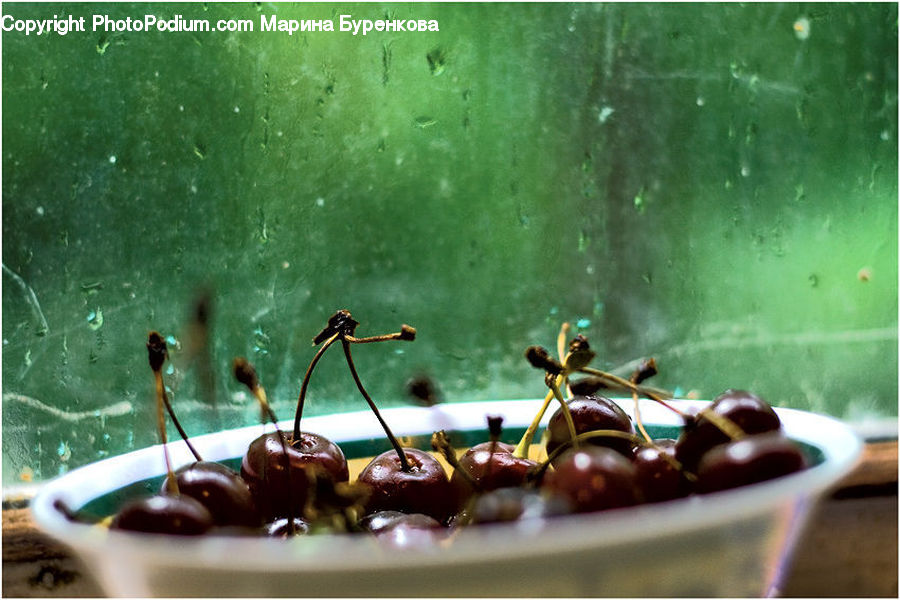 Ant, Insect, Invertebrate, Cherry, Fruit, Food, Apple