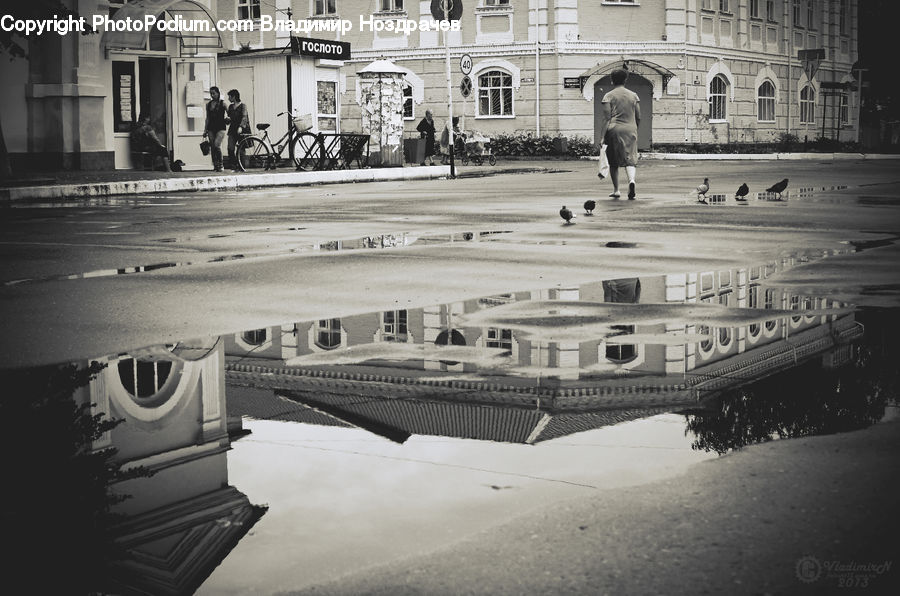 People, Person, Human, Dock, Landing, Pier, Pedestrian