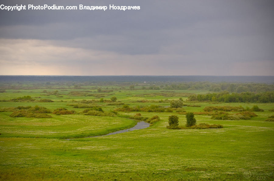 Field, Grass, Grassland, Land, Outdoors, Dirt Road, Gravel