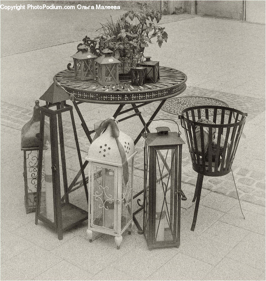 Chair, Furniture, Plant, Potted Plant, Bonsai, Tree, Dining Table