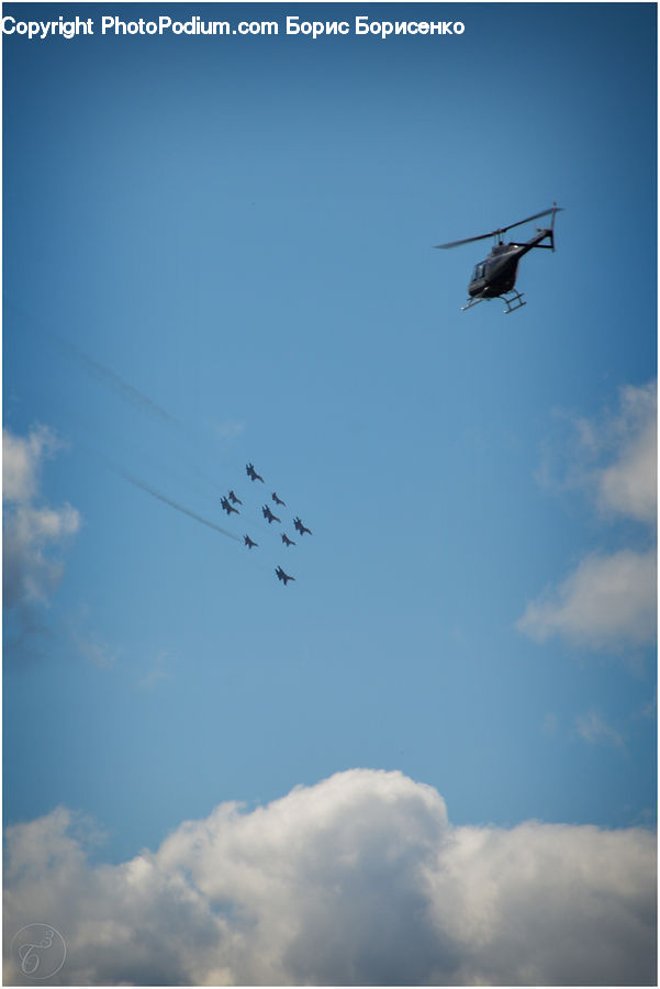 Flock, Aircraft, Airplane, Bomber, Warplane, Bird, Kite Bird