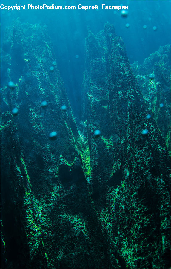 Coral Reef, Outdoors, Reef, Sea, Sea Life, Water