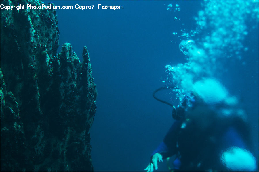 Coral Reef, Outdoors, Reef, Sea, Sea Life, Water, Diver