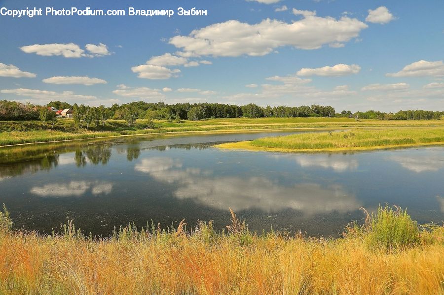 Field, Grass, Grassland, Land, Outdoors, Pond, Water