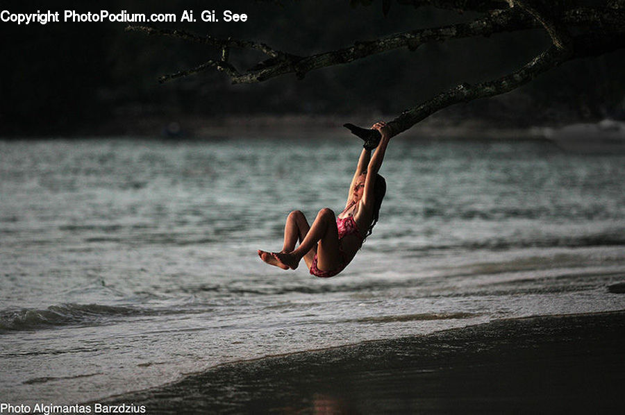 Bird, Flamingo, Flock, Dance, Dance Pose, Bikini, Maillot