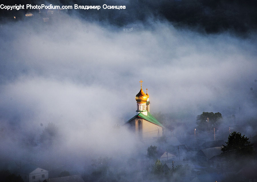 Plant, Potted Plant, Architecture, Spire, Steeple, Tower, Fog