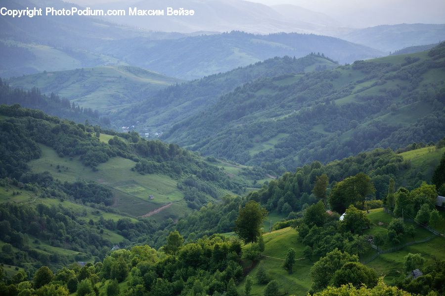Mountain, Outdoors, Valley, Crest, Peak, Mountain Range, Forest