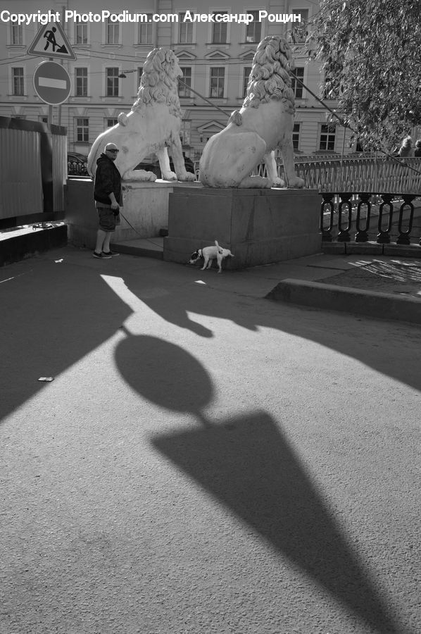 Art, Sculpture, Statue, Bird, Pigeon, Asphalt, Tarmac