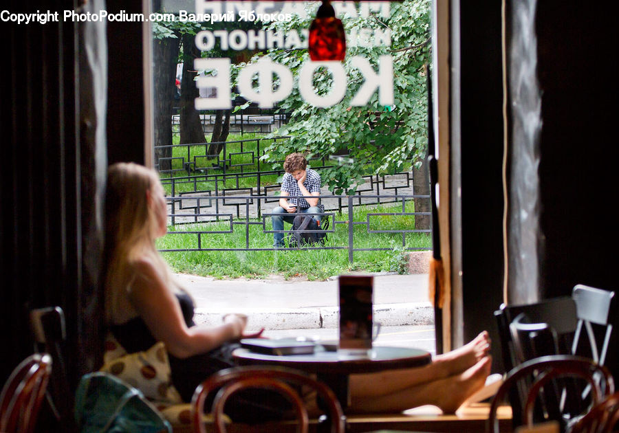 Ivy, Plant, Vine, People, Person, Human, Cafe