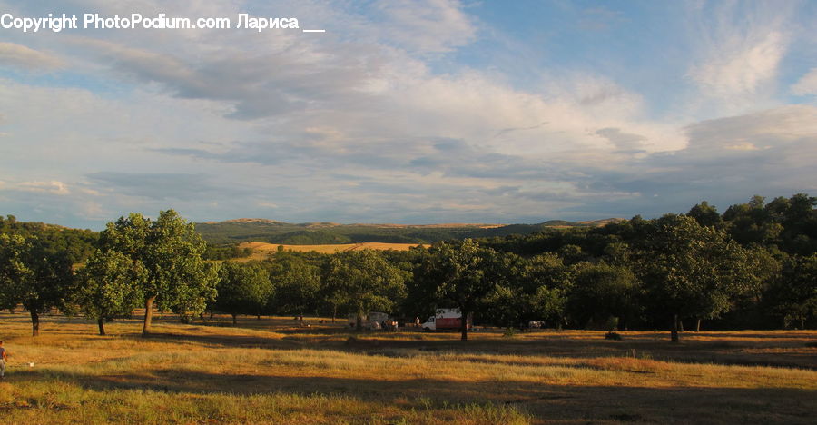 Field, Grass, Grassland, Land, Outdoors, Landscape, Nature