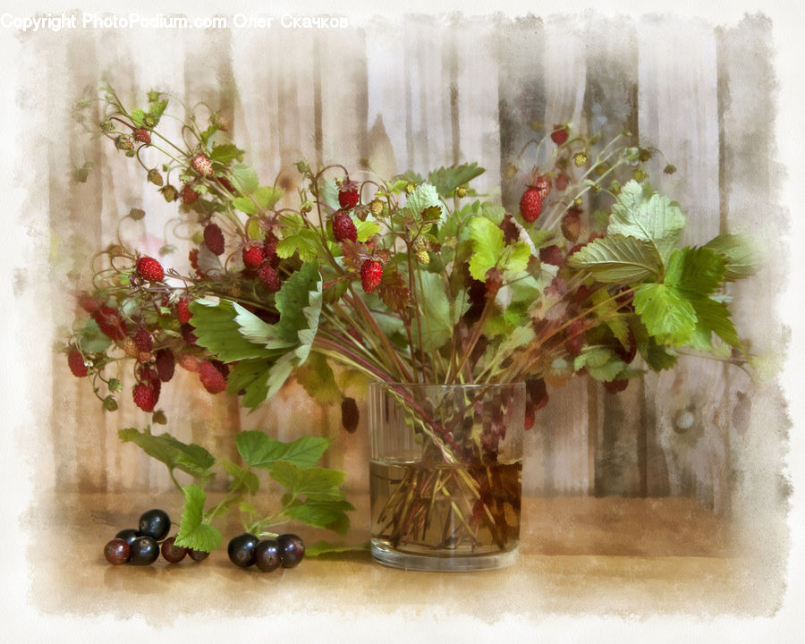 Floral Design, Flower, Flower Arrangement, Flower Bouquet, Ikebana, Jar, Blossom