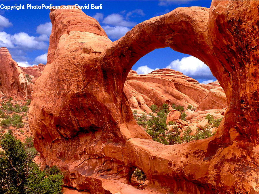 Arch, Canyon, Outdoors, Valley, Cave, Bush, Plant