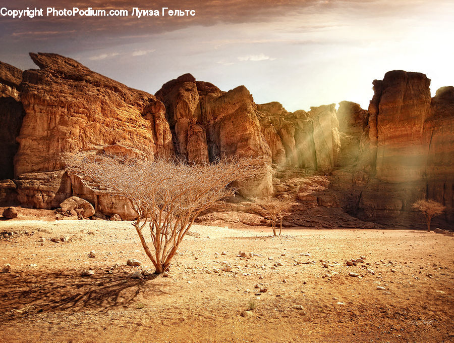 Desert, Outdoors, Hay, Straw, Rock, Cliff, Mesa