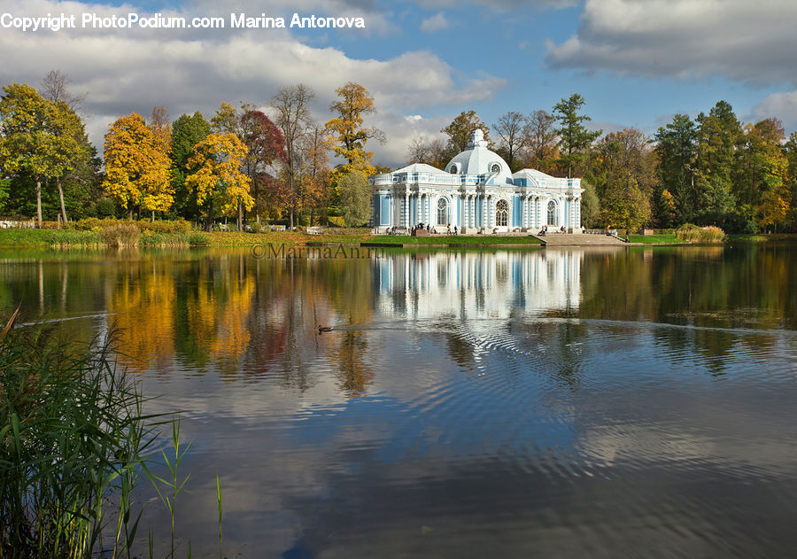 Plant, Potted Plant, Outdoors, Pond, Water, Building, Cottage