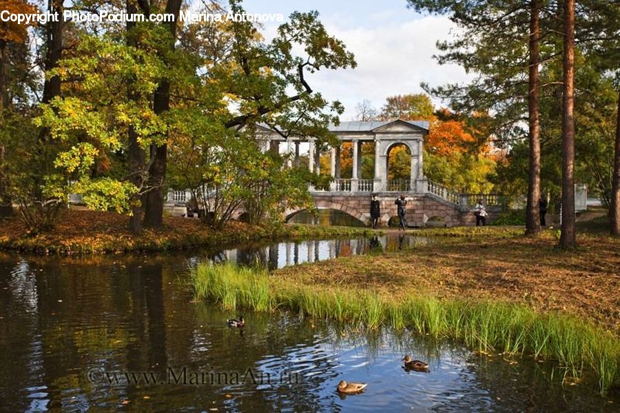 Outdoors, Pond, Water, Building, Cottage, Housing, Lake