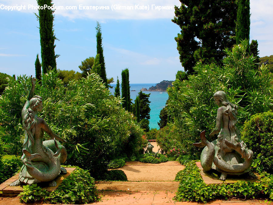 Art, Sculpture, Statue, Conifer, Fir, Plant, Tree