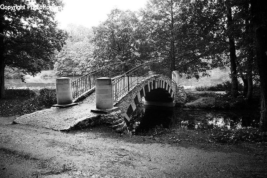 Bridge, Trash Can, Architecture, Forest, Vegetation, Banister, Handrail