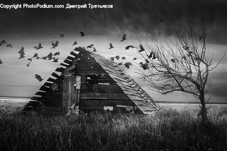 Cabin, Hut, Rural, Shack, Shelter, Building, Cottage