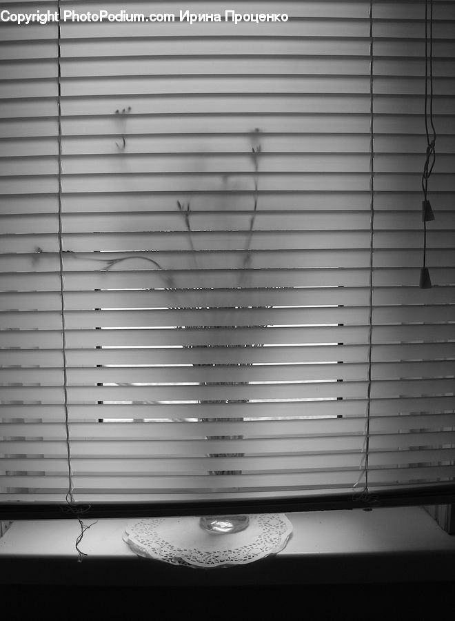 Curtain, Window, Window Shade, Logo, Trademark, Lighting, Bumper