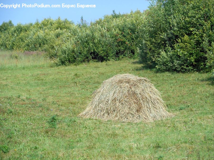 Hay, Straw, Countryside, Field, Grass, Grassland, Plant
