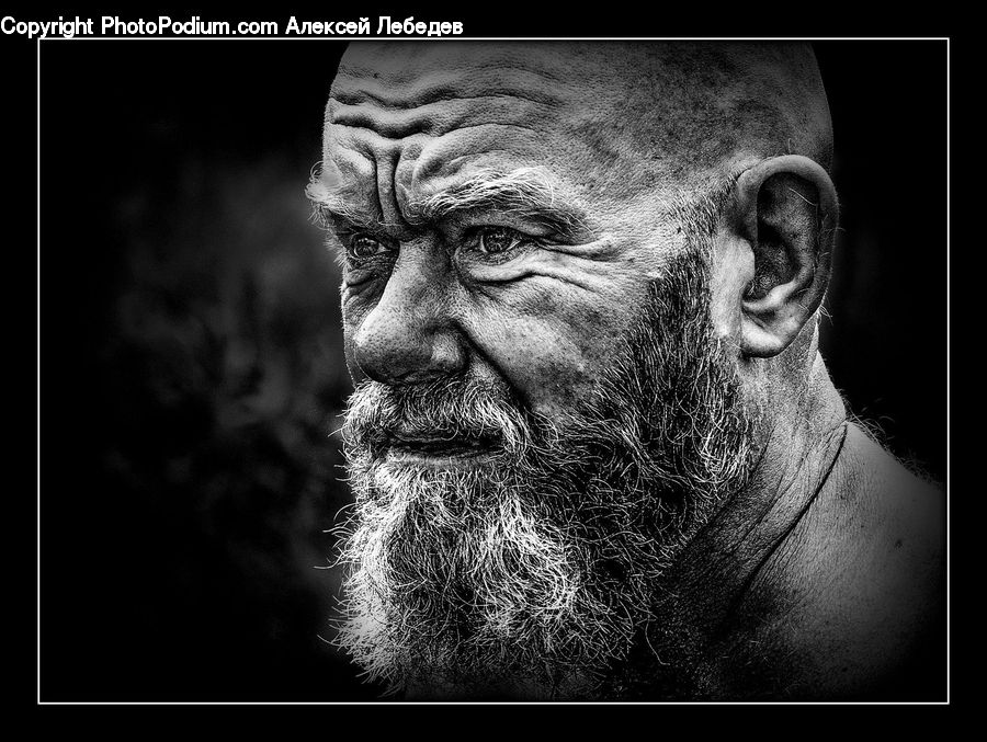 Person, Portrait, Head, Face