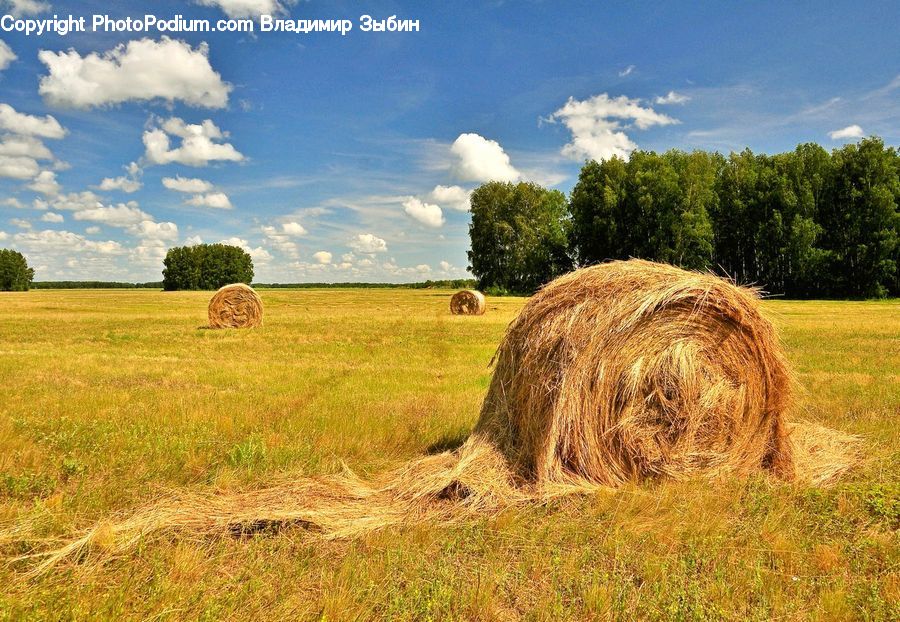 Countryside, Hay, Straw, Outdoors, Field, Grass, Grassland