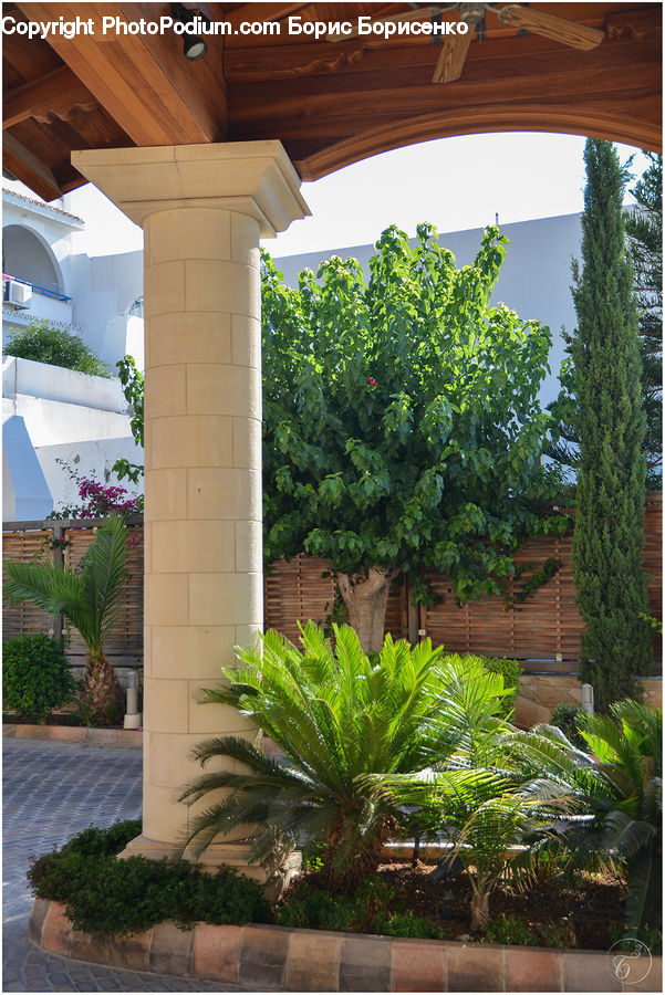 Plant, Potted Plant, Patio, Pergola, Porch, Arch, Architecture