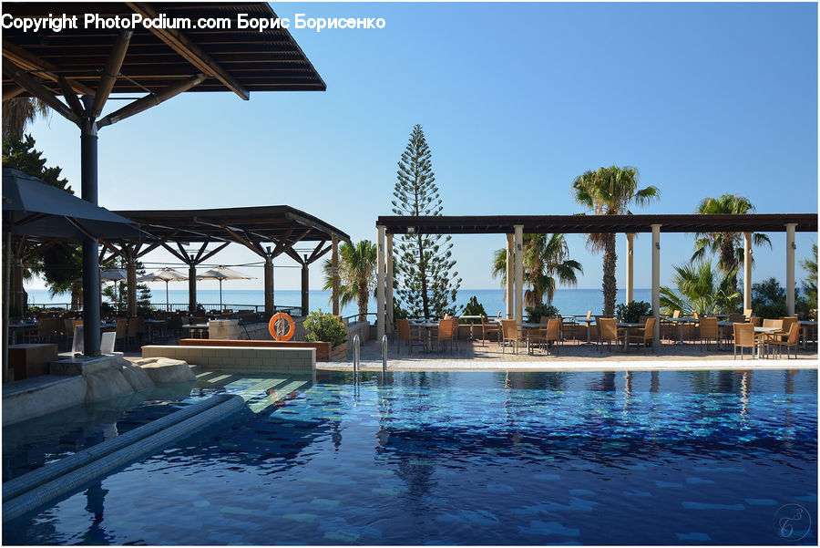 Plant, Potted Plant, Hotel, Resort, Canopy, Pool, Water