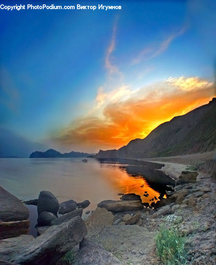 Plant, Potted Plant, Coast, Outdoors, Sea, Water, Rock