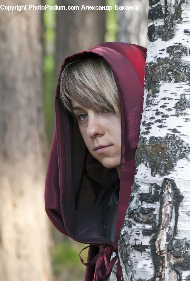 People, Person, Human, Birch, Tree, Wood, Female