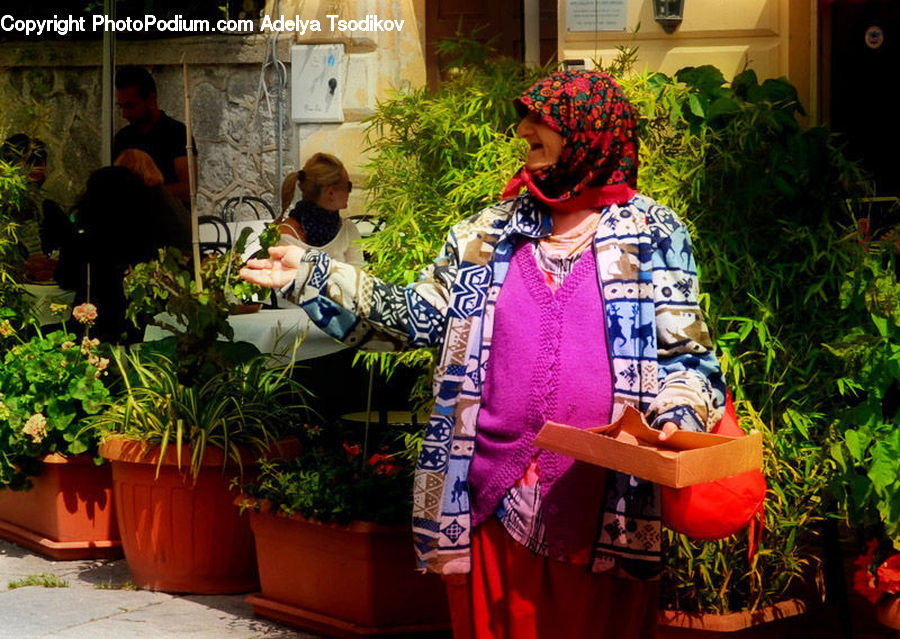 Plant, Potted Plant, Clown, Performer, Person, People, Human