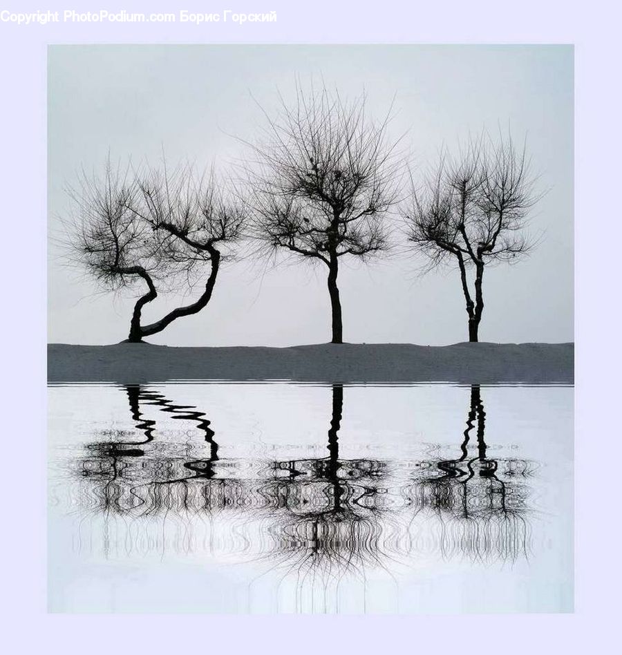 Collage, Poster, Plant, Tree, Art, Drawing, Bench