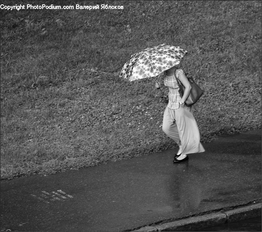 Human, People, Person, Umbrella, Female, Dirt Road, Gravel