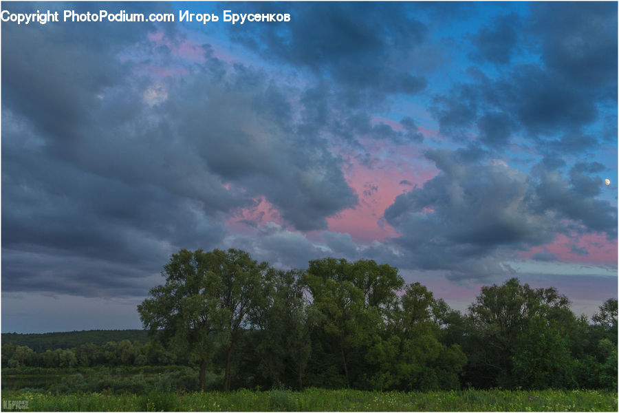 Cloud, Cumulus, Sky, Azure Sky, Outdoors, Dawn, Dusk