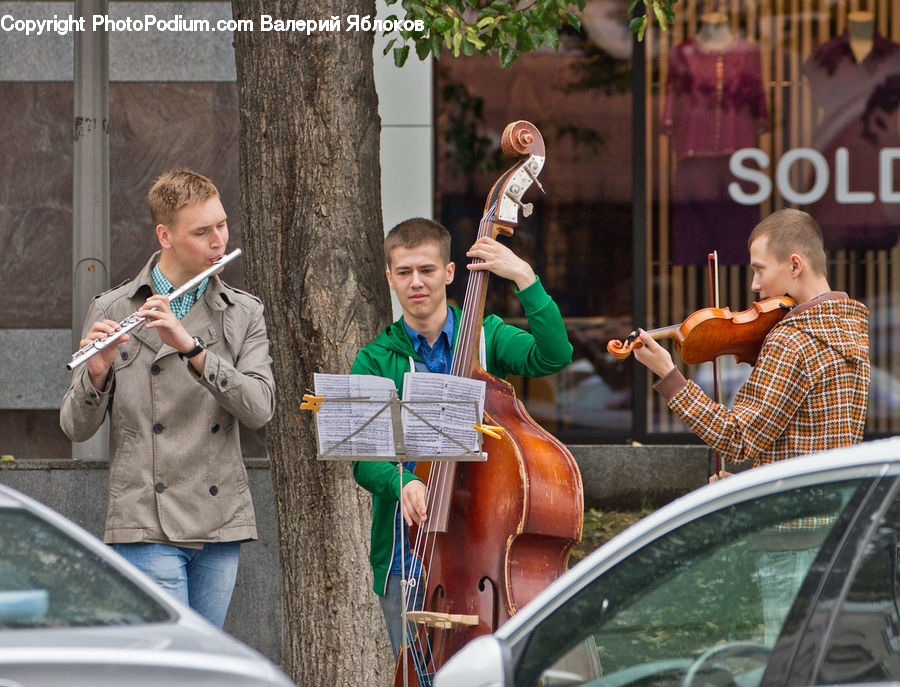 People, Person, Human, Plant, Potted Plant, Cello, Musical Instrument