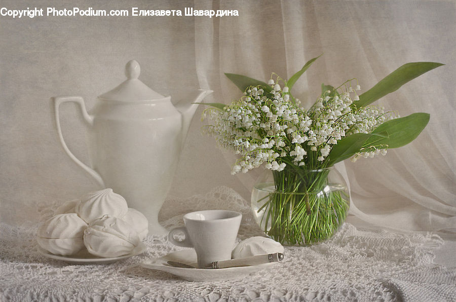 Plant, Potted Plant, Porcelain, Saucer, Coffee Cup, Cup, Coffee Table