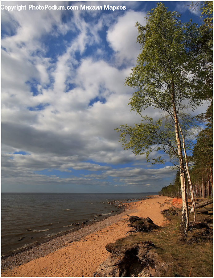 Beach, Coast, Outdoors, Sea, Water, Landscape, Nature