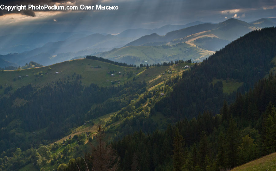 Mountain, Mountain Range, Outdoors, Conifer, Fir, Plant, Tree